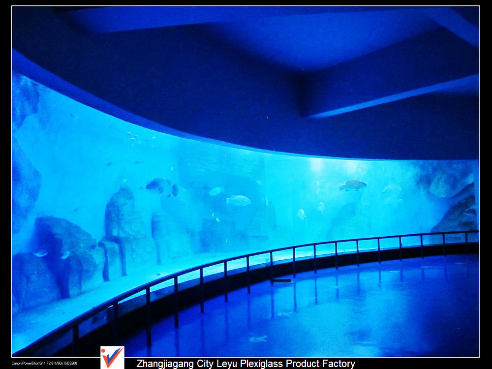 o ocean&aacute;rio mundial do oceano