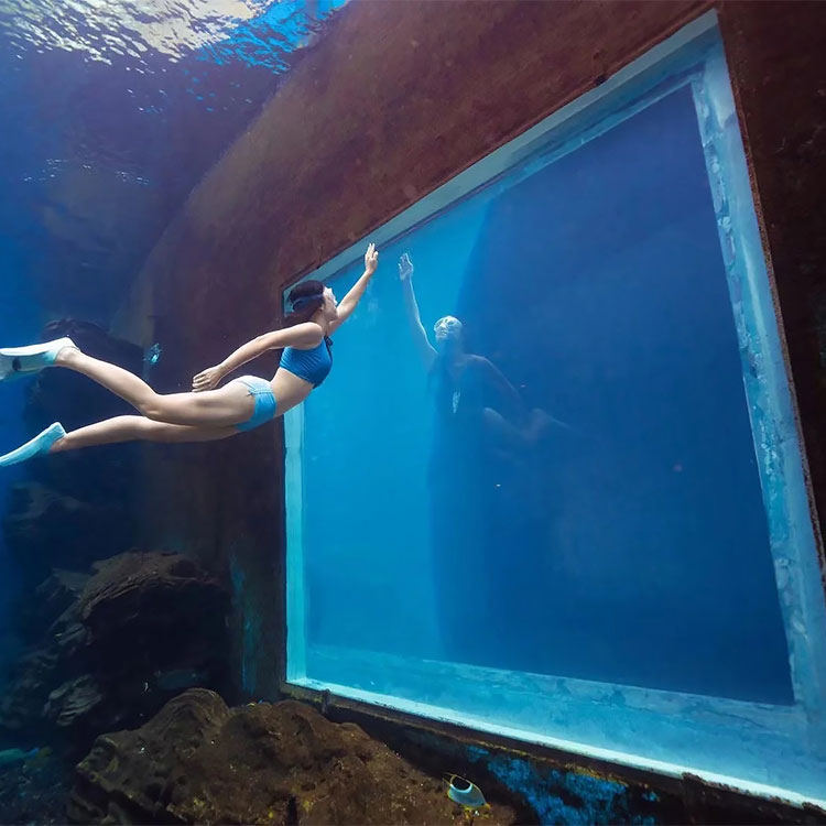 Piscina de mergulho subaqu&aacute;tica com janela