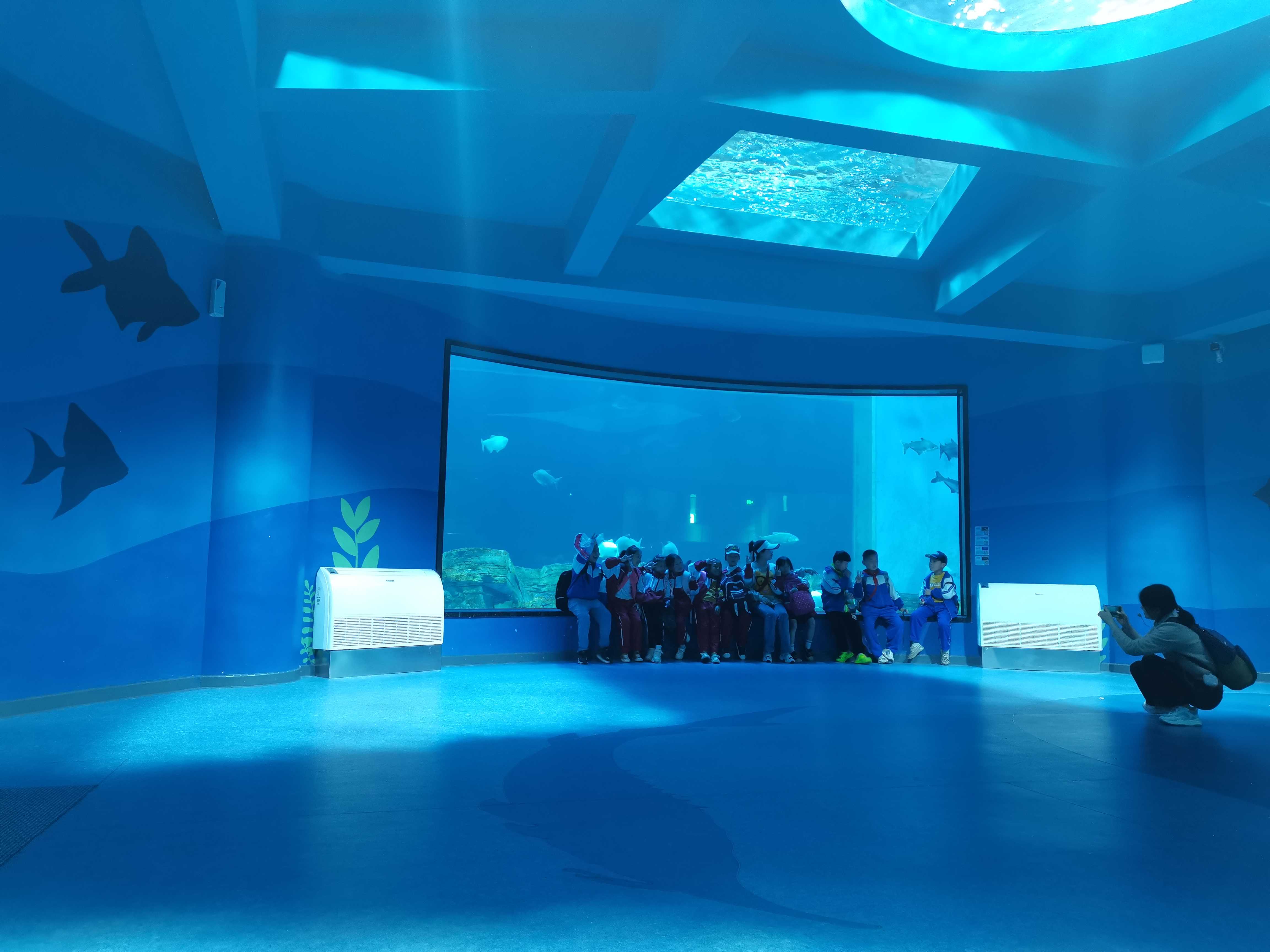 Pousada Ocean Park - Leyu