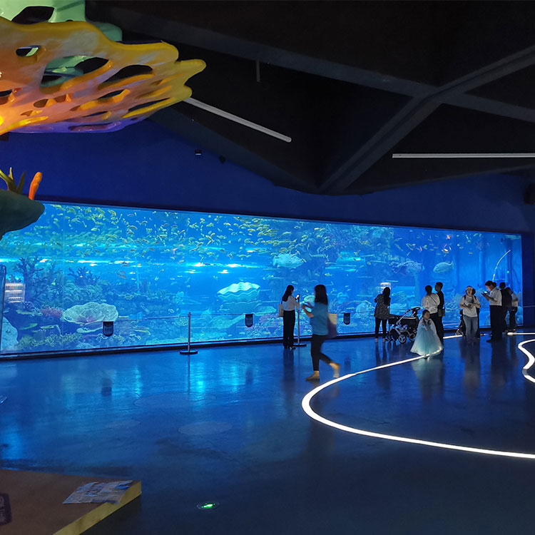 Ocean&aacute;rio Leyu Lisboa explore o ocean&aacute;rio ocean world