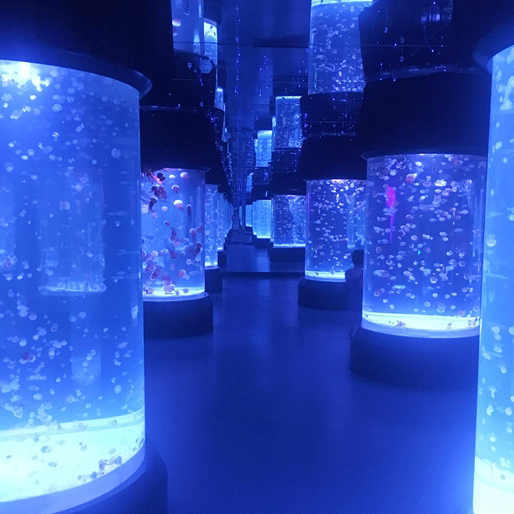 Aqu&aacute;rio de medusas - Leyu
