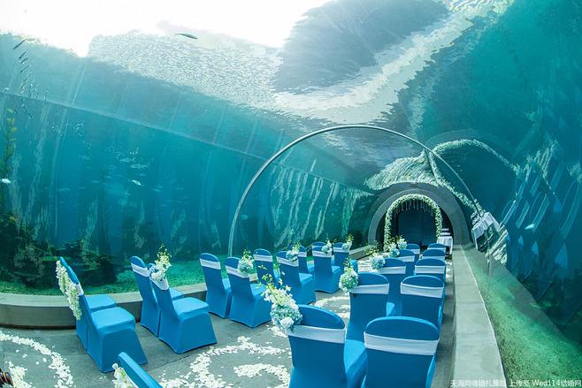 Restaurante de elementos de &aacute;gua em acr&iacute;lico - fabrica&ccedil;&atilde;o 