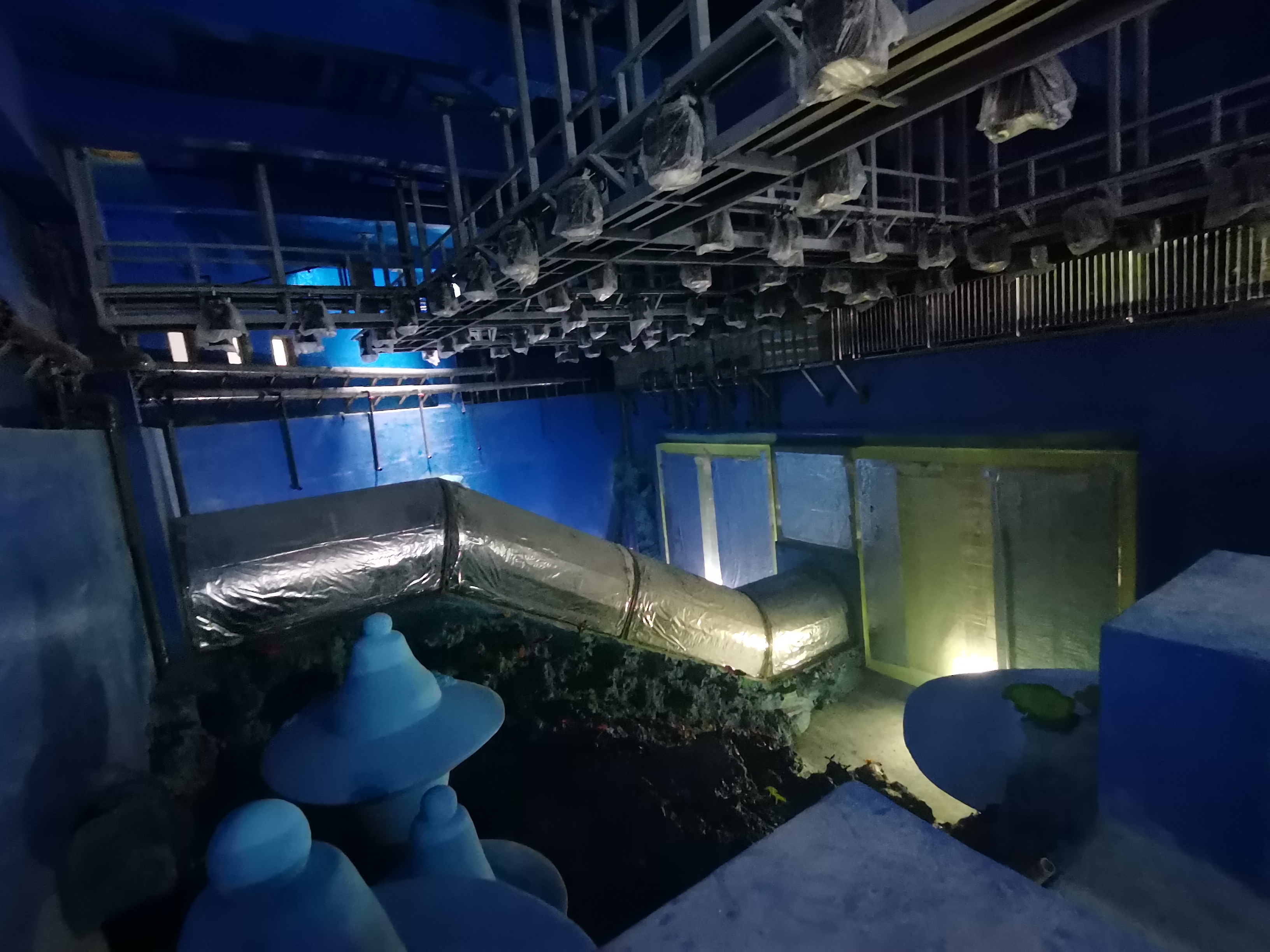 Aqu&aacute;rio t&uacute;nel acr&iacute;lico - instala&ccedil;&atilde;o