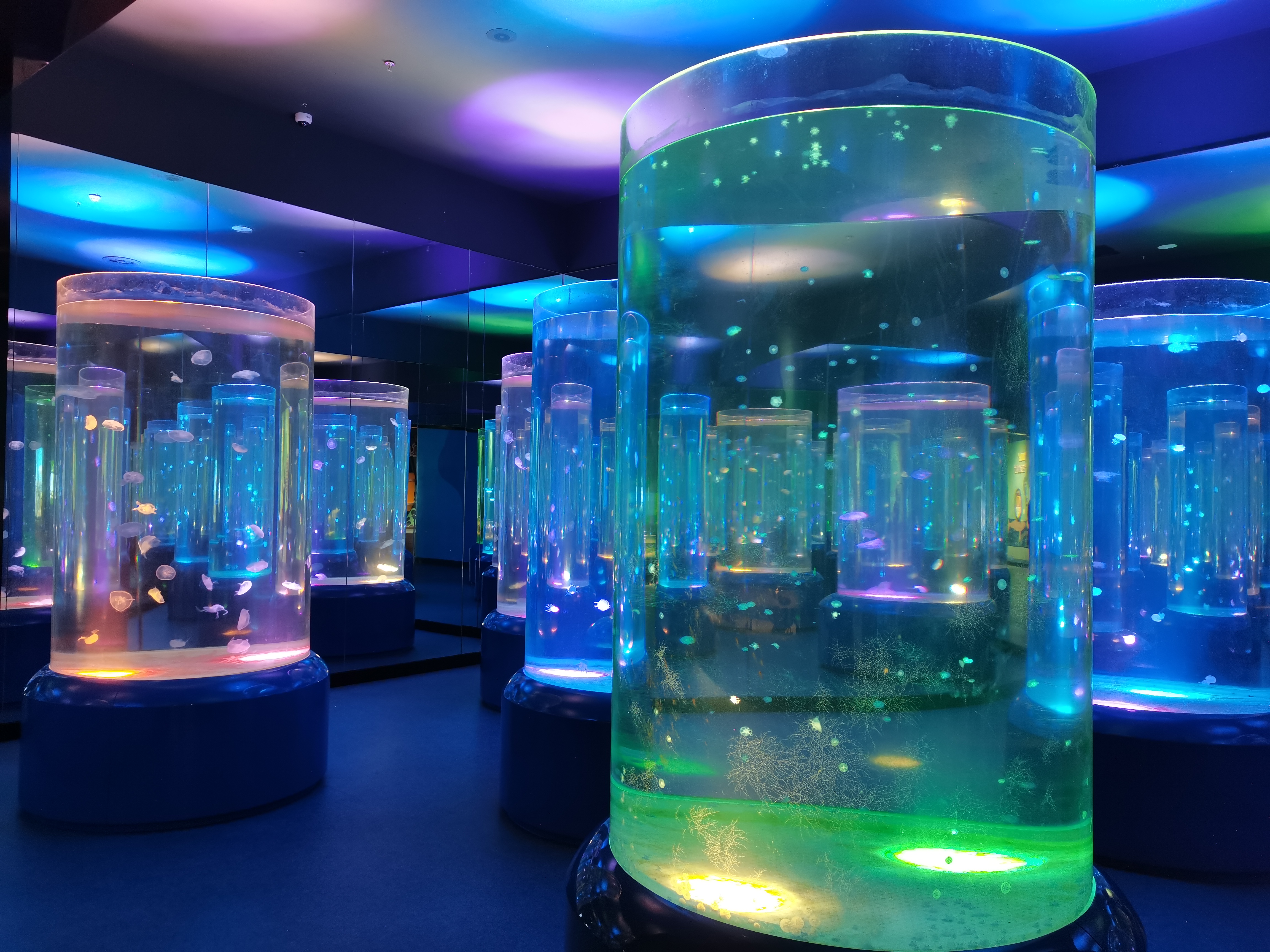 Aqu&aacute;rio de medusas acr&iacute;licas - fabrica&ccedil;&atilde;o