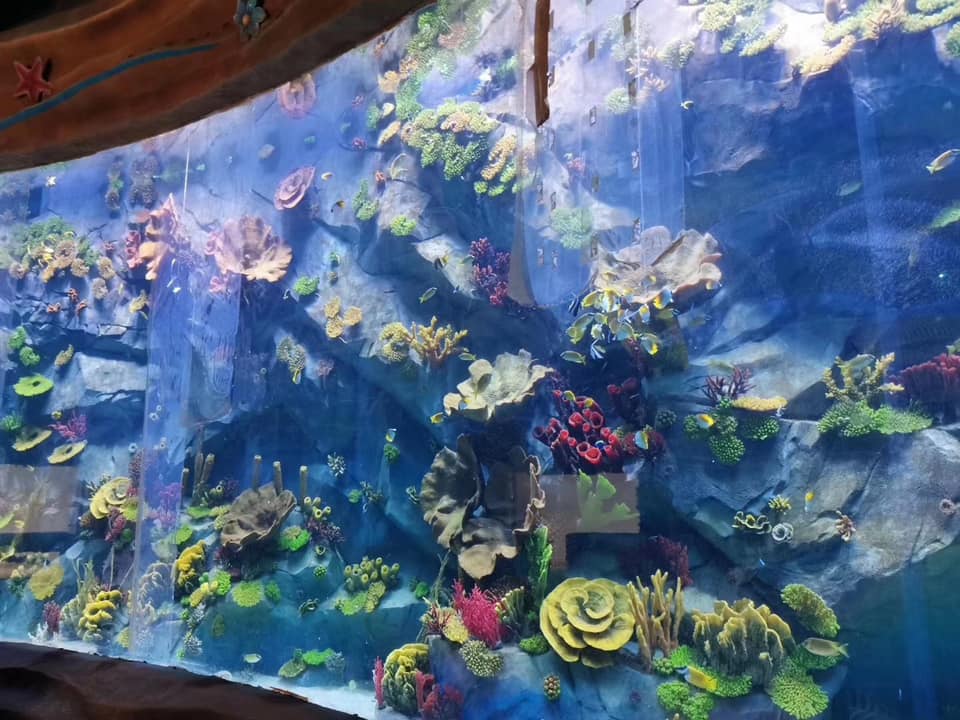 Janela de aqu&aacute;rio em acr&iacute;lico - fabrica&ccedil;&atilde;o