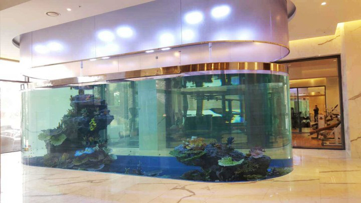~!phoenix_varIMG6!~