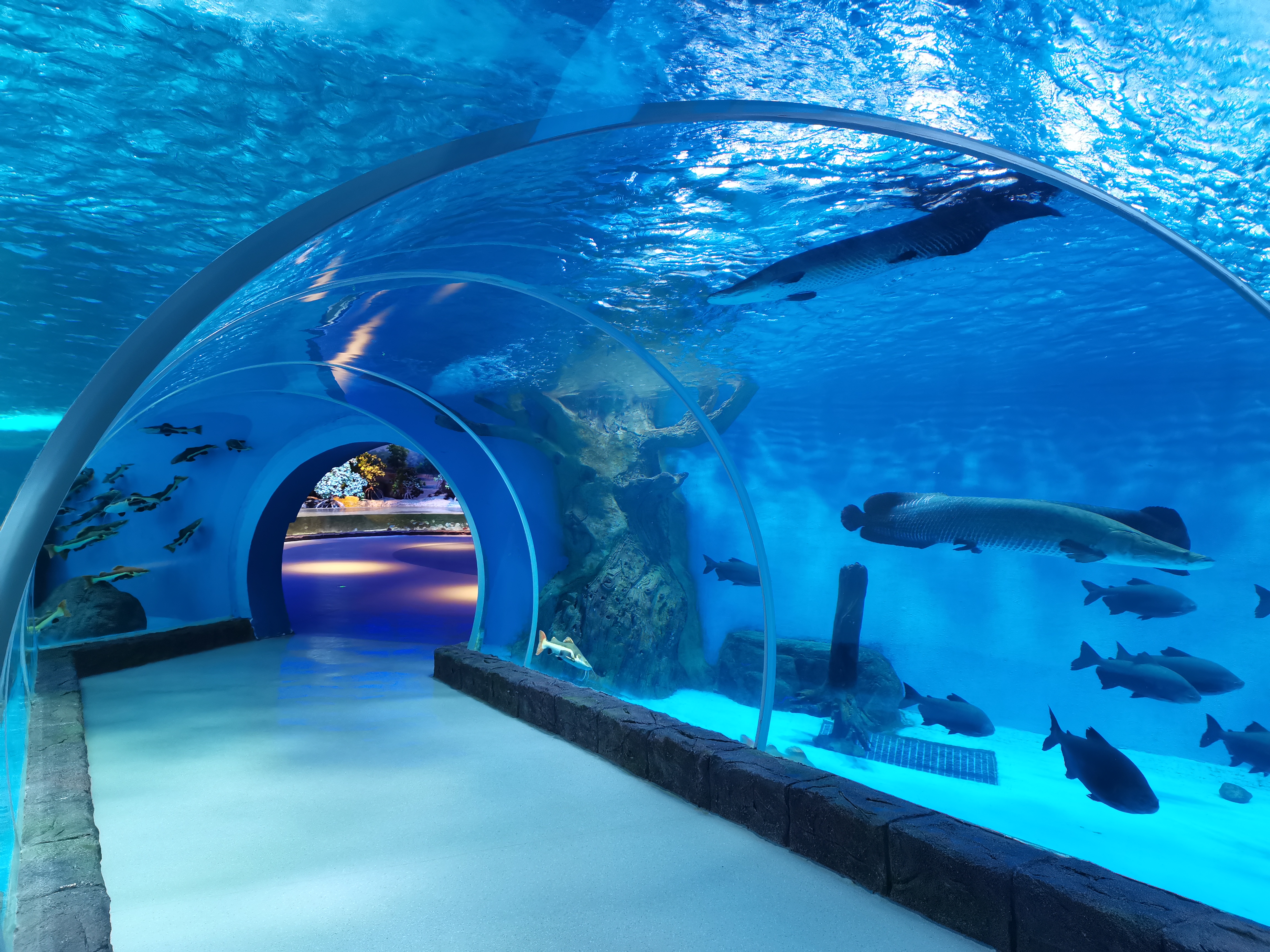 Aqu&aacute;rio t&uacute;nel acr&iacute;lico - fabrica&ccedil;&atilde;o