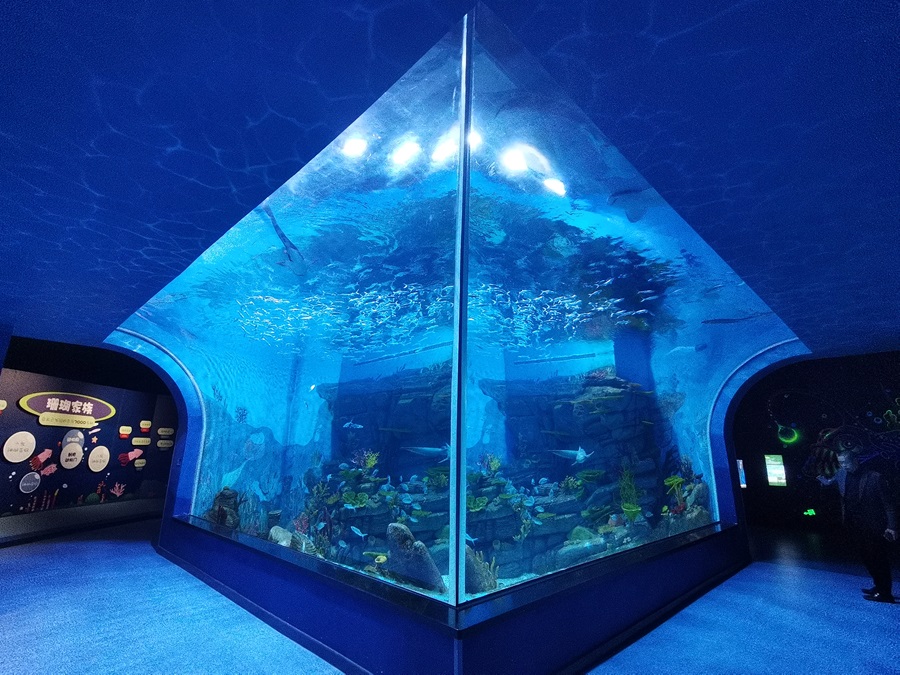 Janela acr&iacute;lica dos aqu&aacute;rios Leyu - Longchuan Polar Ocean World na prov&iacute;ncia de Guizhou (2)