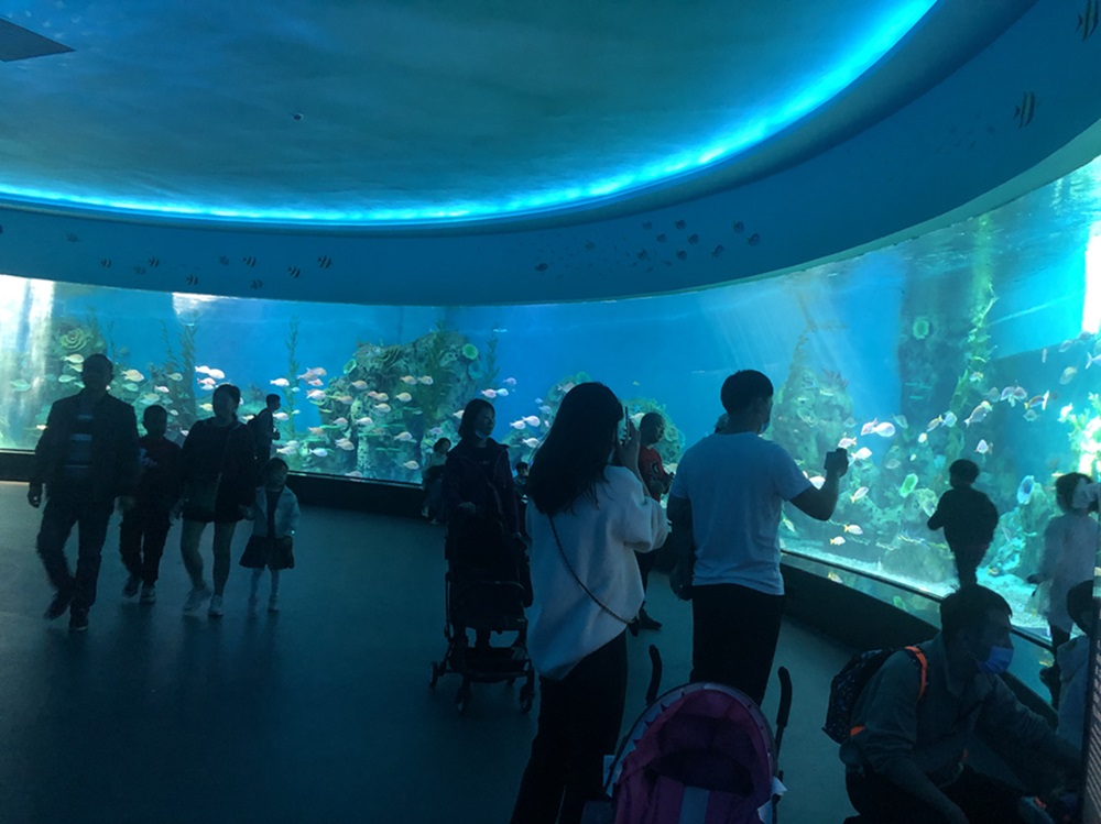 Mundo subaqu&aacute;tico de Fuzhou Yongtai para aqu&aacute;rio acr&iacute;lico (3)
