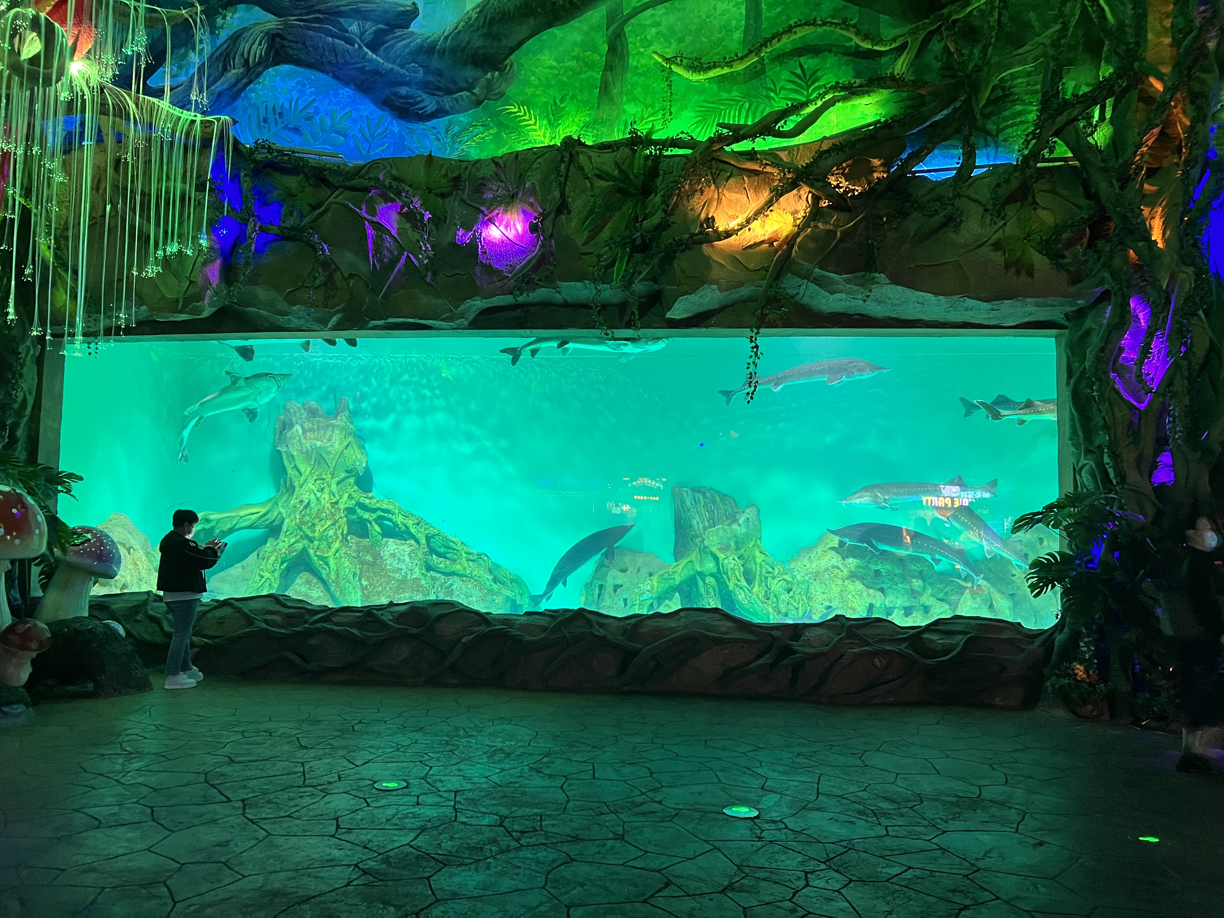 Piscina de peixes em acr&iacute;lico - LEYU