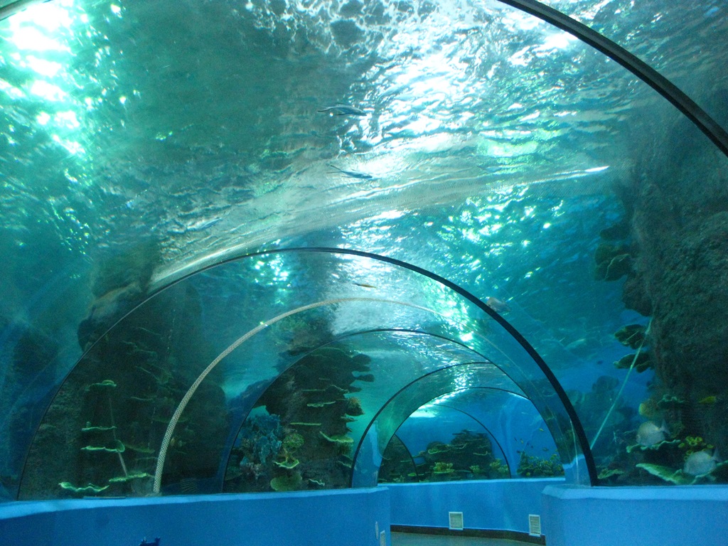 Hefei Hanhai Polar Ocean World - T&uacute;nel do Aqu&aacute;rio Leyu (2)
