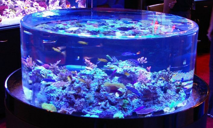 Sea clear acrylic aquarium Aquário acrílico transparente mar