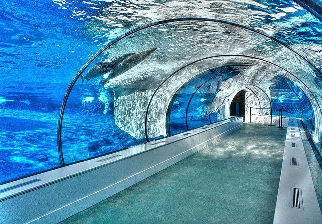 Aqu&aacute;rio t&uacute;nel acr&iacute;lico - fabrica&ccedil;&atilde;o
