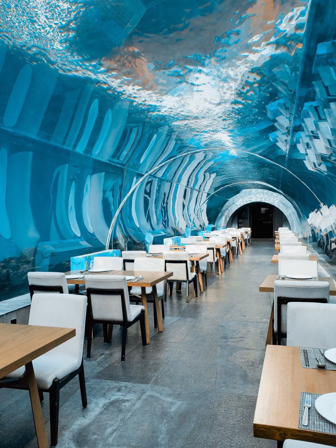 Aqu&aacute;rio t&uacute;nel acr&iacute;lico - fabricante
