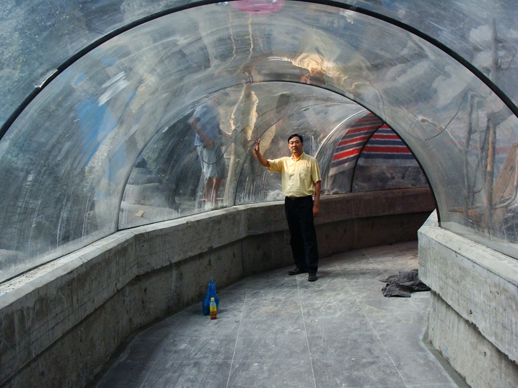 Hefei Hanhai Polar Ocean World - T&uacute;nel do Aqu&aacute;rio Leyu