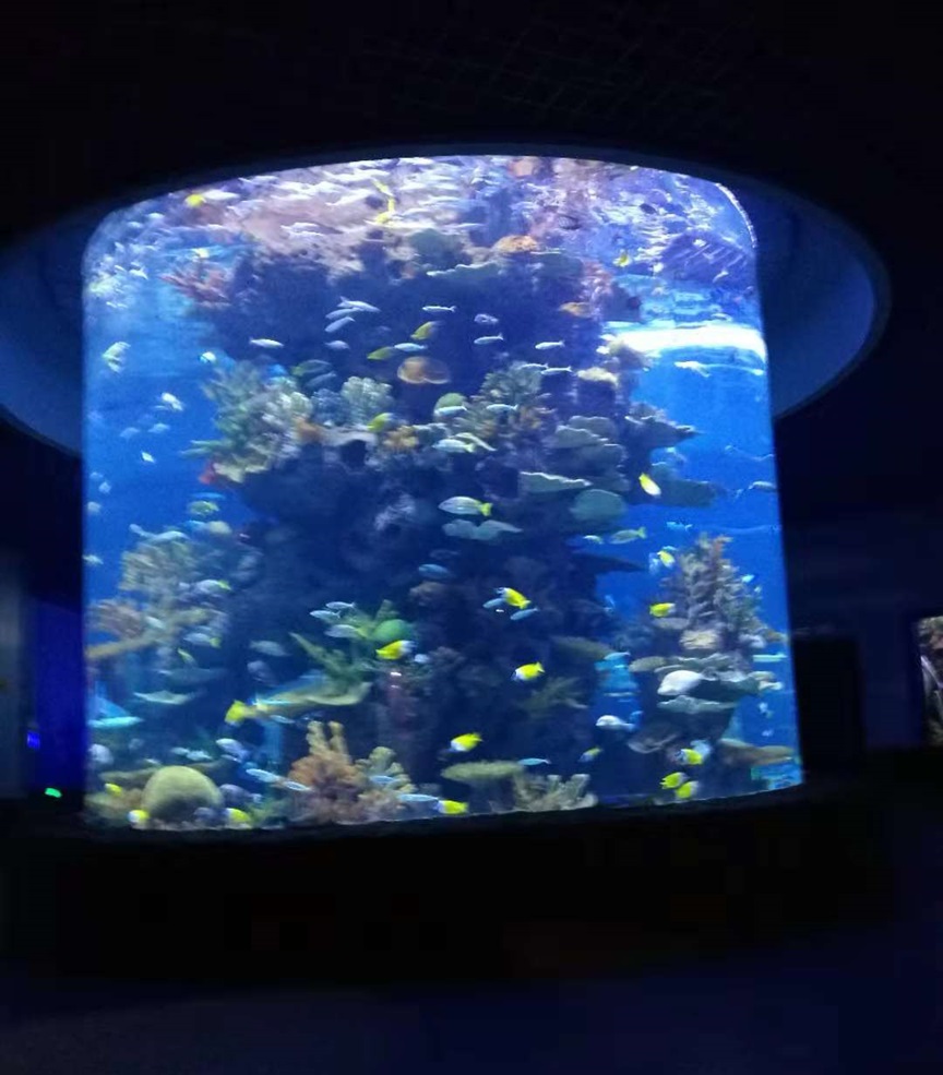 Aqu&aacute;rio cil&iacute;ndrico de Leyu - Longchuan Polar Ocean World na prov&iacute;ncia de Guizhou (5)