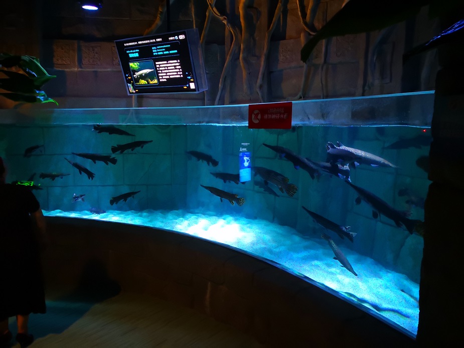 Chongqing Hanhai Polar Ocean World - Leyu Arylic Aquarim (4)