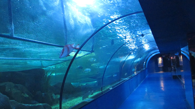 Mundo Subaqu&aacute;tico de Shandong Penglai - T&uacute;nel do Aqu&aacute;rio Leyu