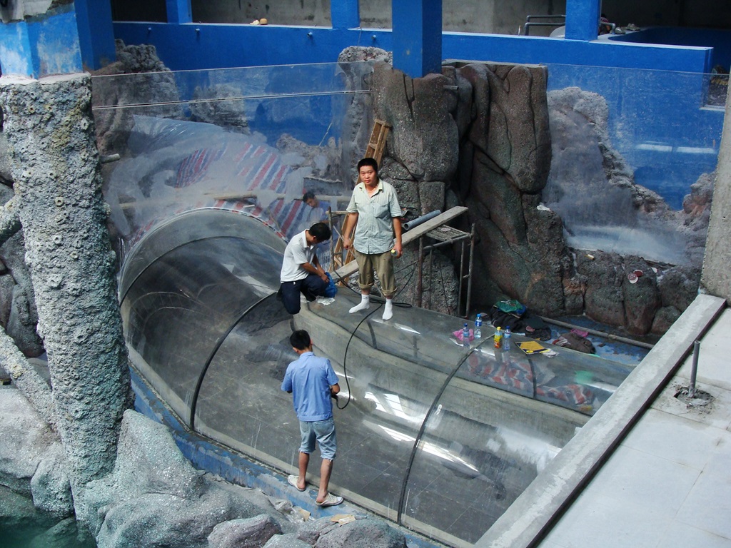 Hefei Hanhai Polar Ocean World - T&uacute;nel do Aqu&aacute;rio Leyu (3)