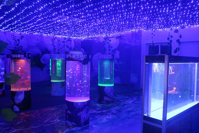 Aqu&aacute;rio de Medusas de Nanjing