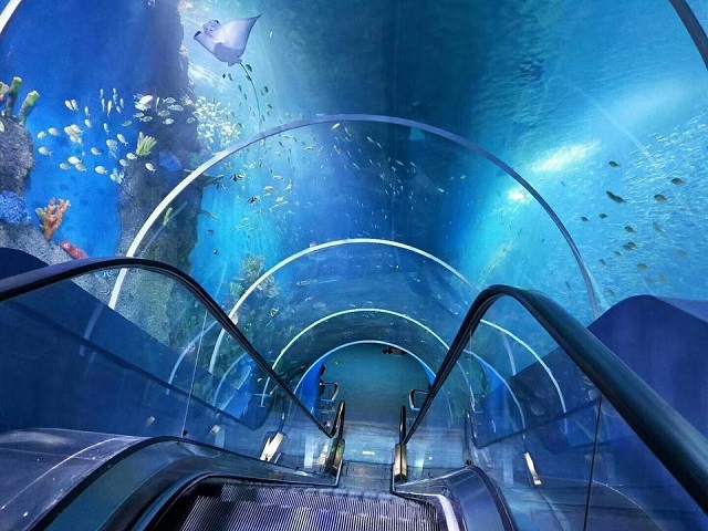 t&uacute;nel de aqu&aacute;rio - Leyu