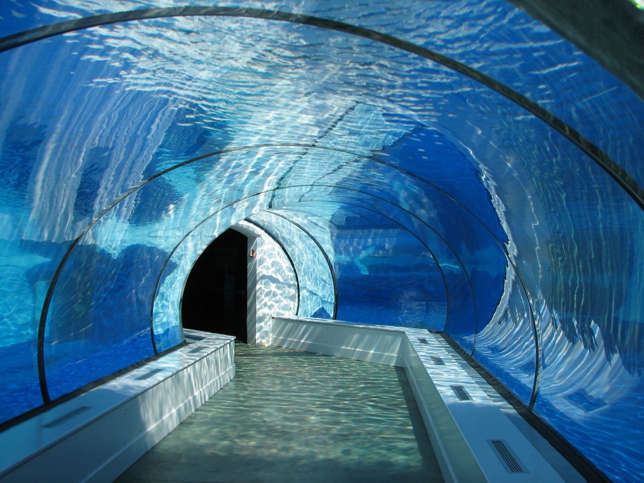 Aqu&aacute;rio t&uacute;nel acr&iacute;lico - LEYU ACRYLIC
