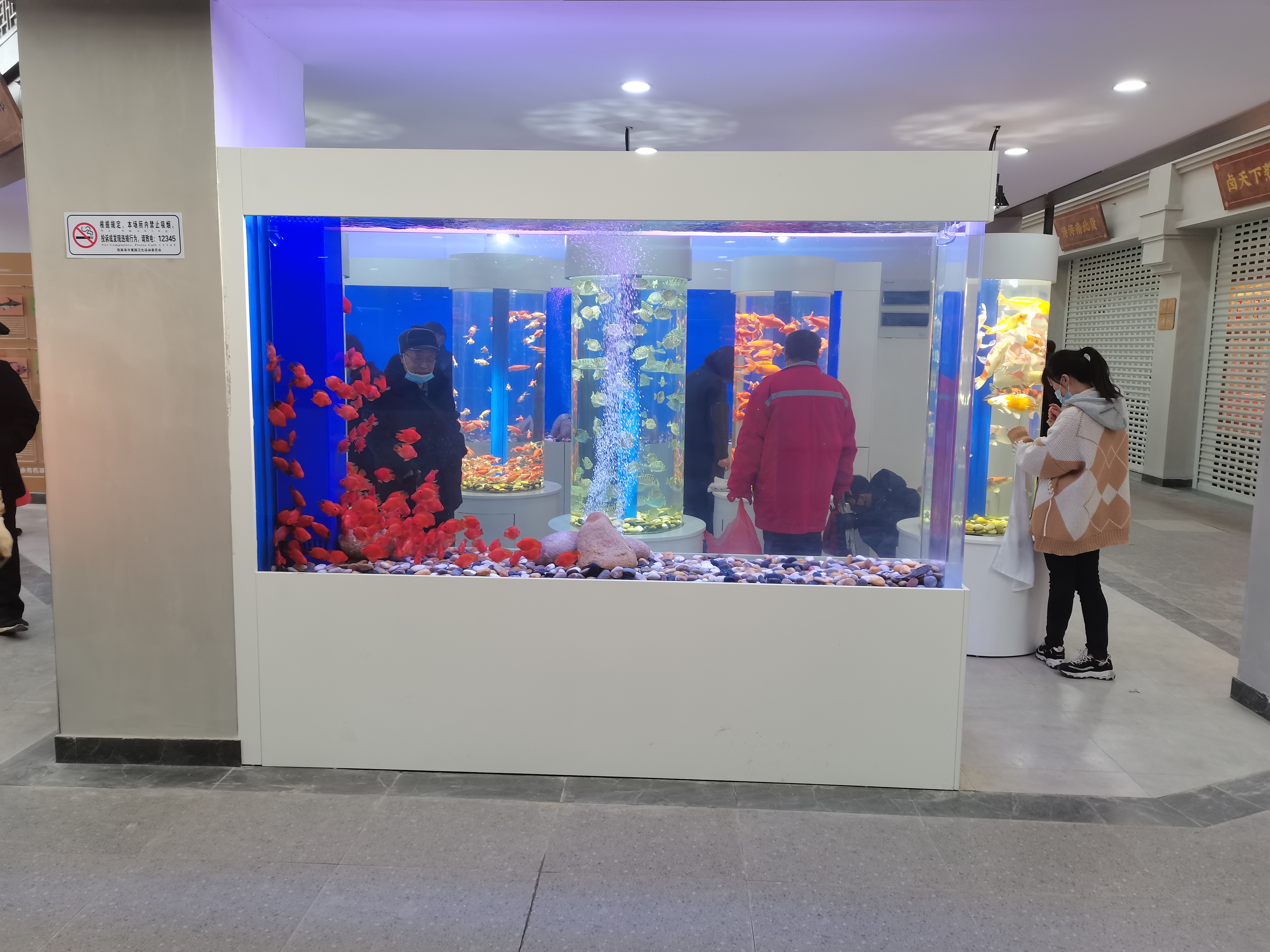 Aqu&aacute;rio de acr&iacute;lico personalizado - f&aacute;brica