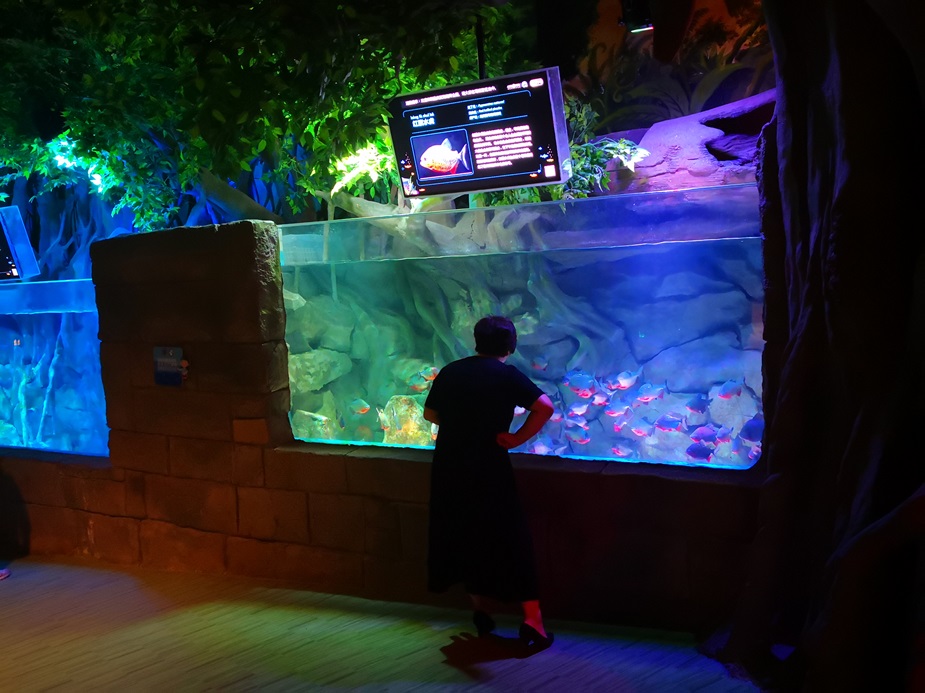 Chongqing Hanhai Polar Ocean World - Leyu Arylic Aquarim (2)
