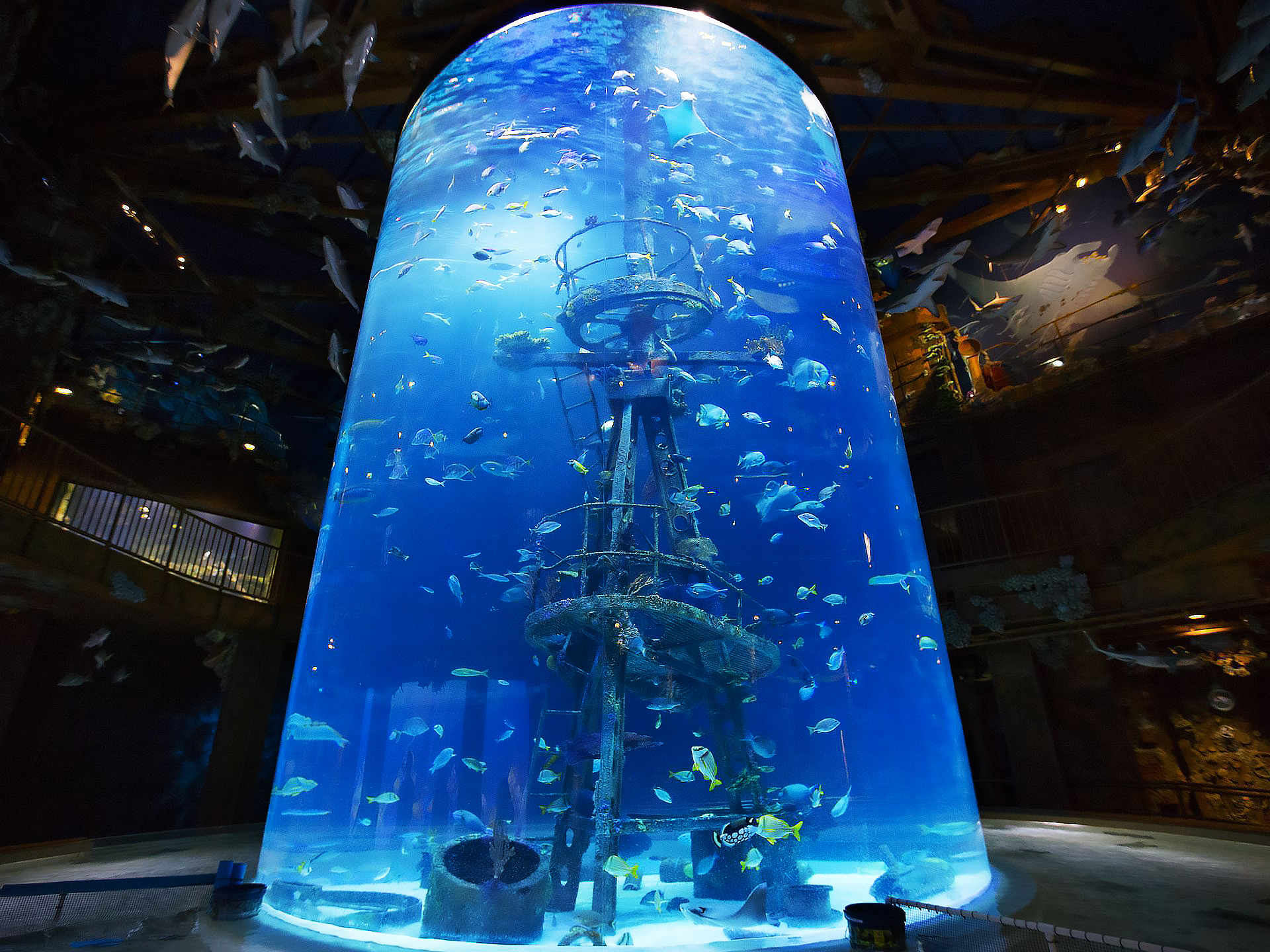 acrylic aquarium aquário acrílico
