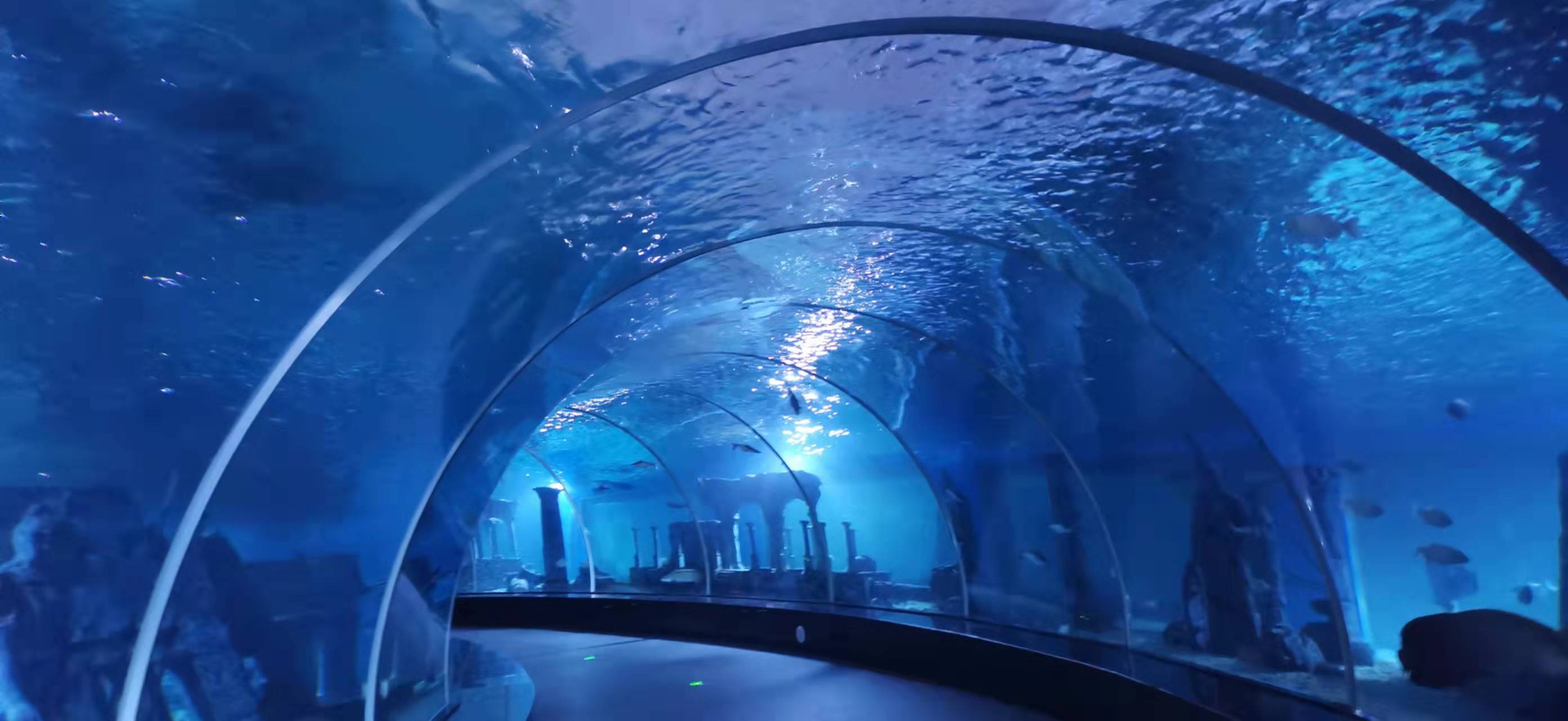 Aqu&aacute;rio t&uacute;nel acr&iacute;lico - f&aacute;brica