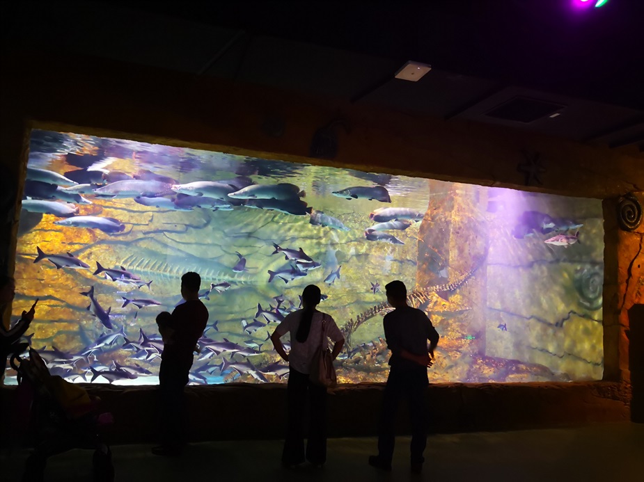 Chongqing Hanhai Polar Ocean World - Janela Leyu Arylic Aquarim
