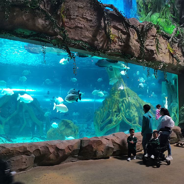 Luxury Design Custom Acrylic View Window For Aquarium Janela de vista acrílica personalizada de design luxuoso para aquário