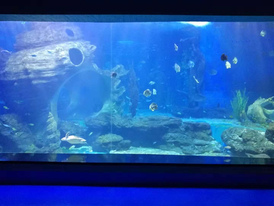Janela acr&iacute;lica dos aqu&aacute;rios Leyu - Longchuan Polar Ocean World na prov&iacute;ncia de Guizhou