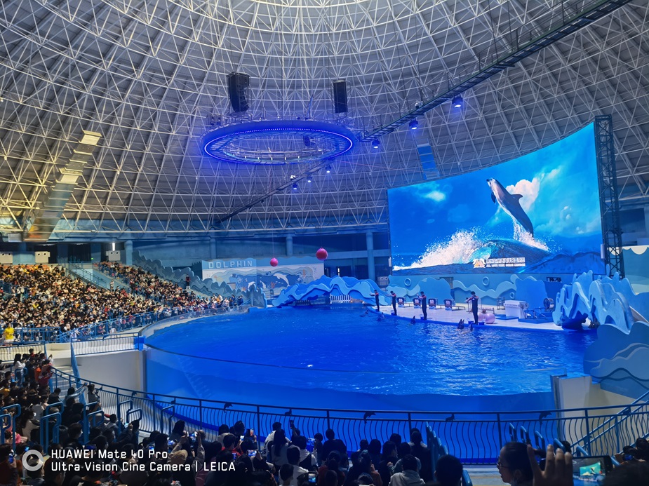 Parque Oce&acirc;nico Polar Xuzhou Oulebao - Leyu (2)