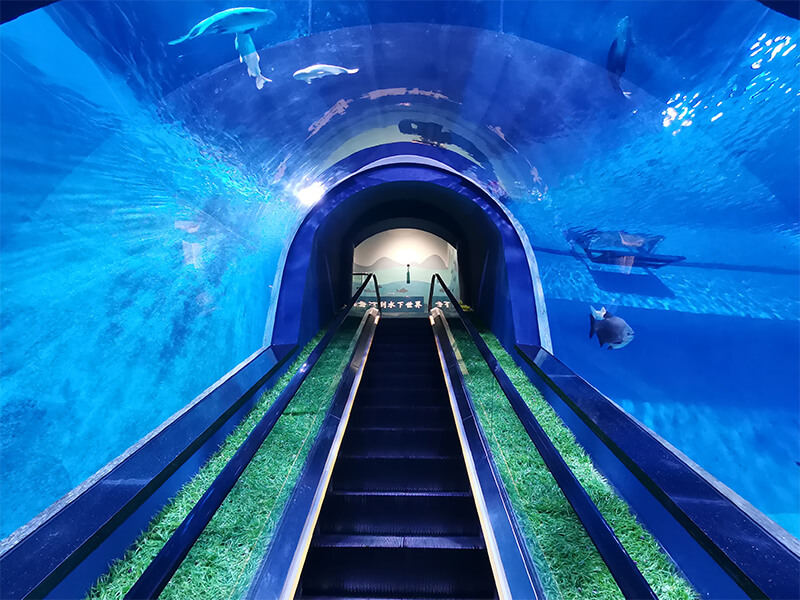 Longchuan Polar Ocean World na província de Guizhou - Arylic Aquarim