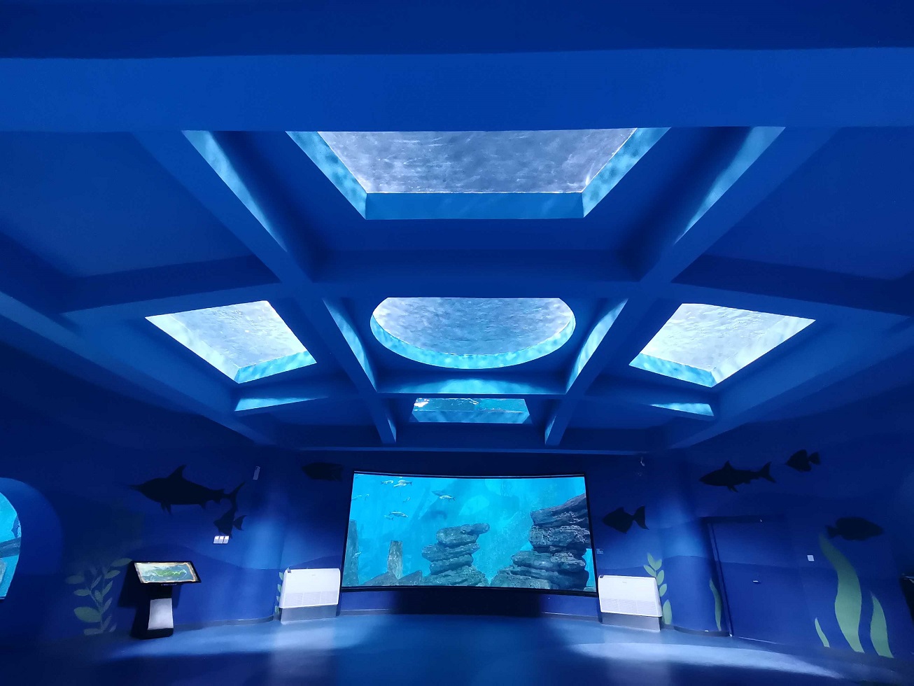  Oceanário lisboa oceanário perto de mim bar porto oceanário Leyu aquário acrílico fábrica personalização profissional - Leyu