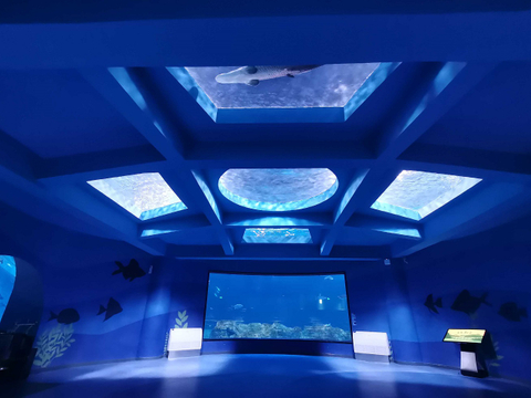 Onde fica a pousada Ocean Park - Leyu