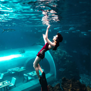 Grande túnel de vidro acrílico curvado ultra claro para aquário oceanário - Leyu fábrica de aquário acrílico