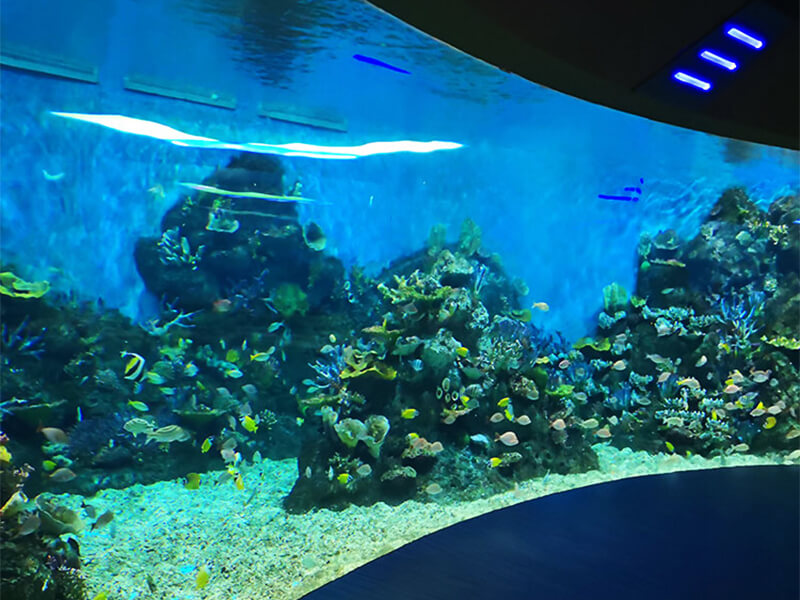 Mundo do oceano polar de Chongqing Hanhai