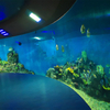 A fábrica chinesa é especializada em janelas de acrílico personalizadas para oceanário.- leyu 
