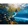 Grande ultra claro curvado oceanário tanque de aquário acrílico túnel de vidro fábrica de aquário acrílico Leyu - Leyu 