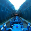 Grande ultra claro curvo oceanário tanques de aquário túnel de vidro acrílico Leyu fábrica de aquário acrílico - Leyu 
