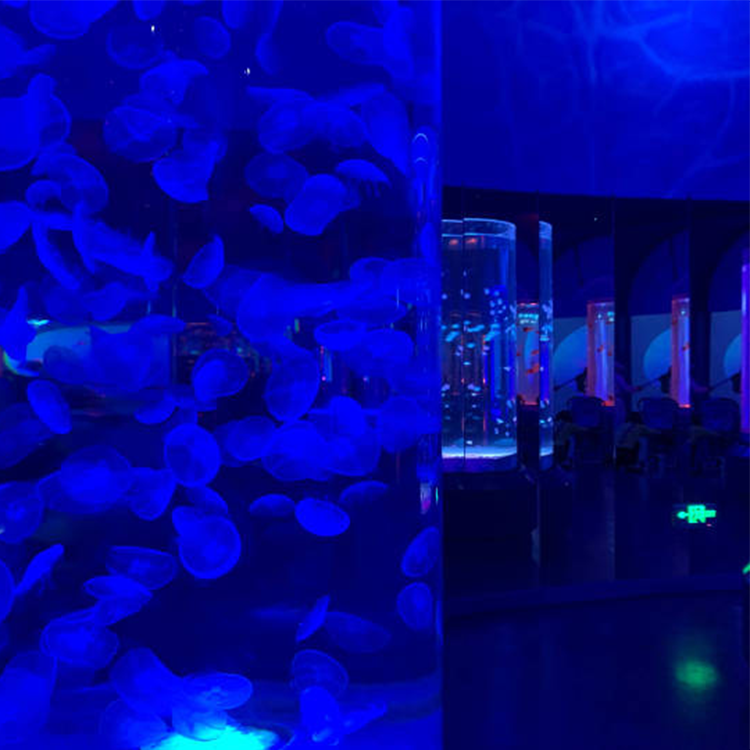 Tanque de aquário de medusas acrílico personalizado, tanque de medusas que estilos - Leyu