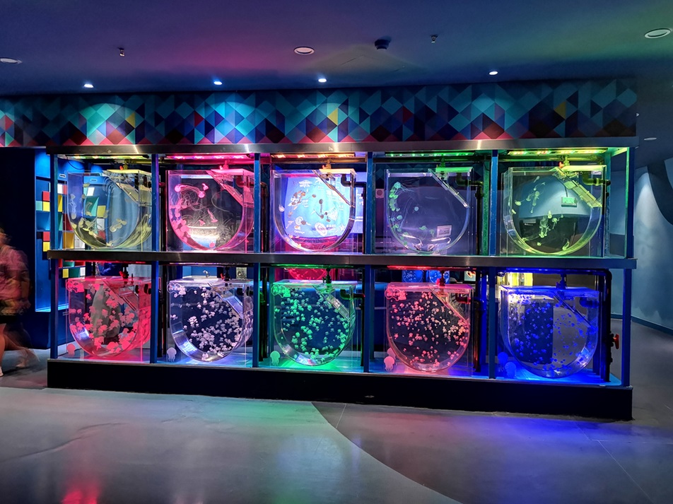 Parque Oceânico Polar Haichang de Xangai - Leyu Arylic Aquarim
