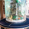 Os melhores aquários de acrílico ideais para aquários de água doce - Leyu