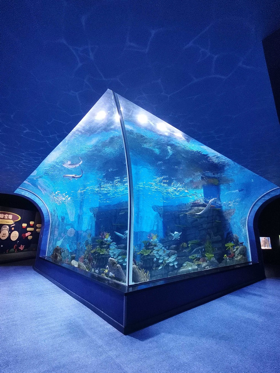 Oceanário lisboa oceanário perto de mim bar porto oceanário Leyu aquário acrílico fábrica personalização profissional - Leyu