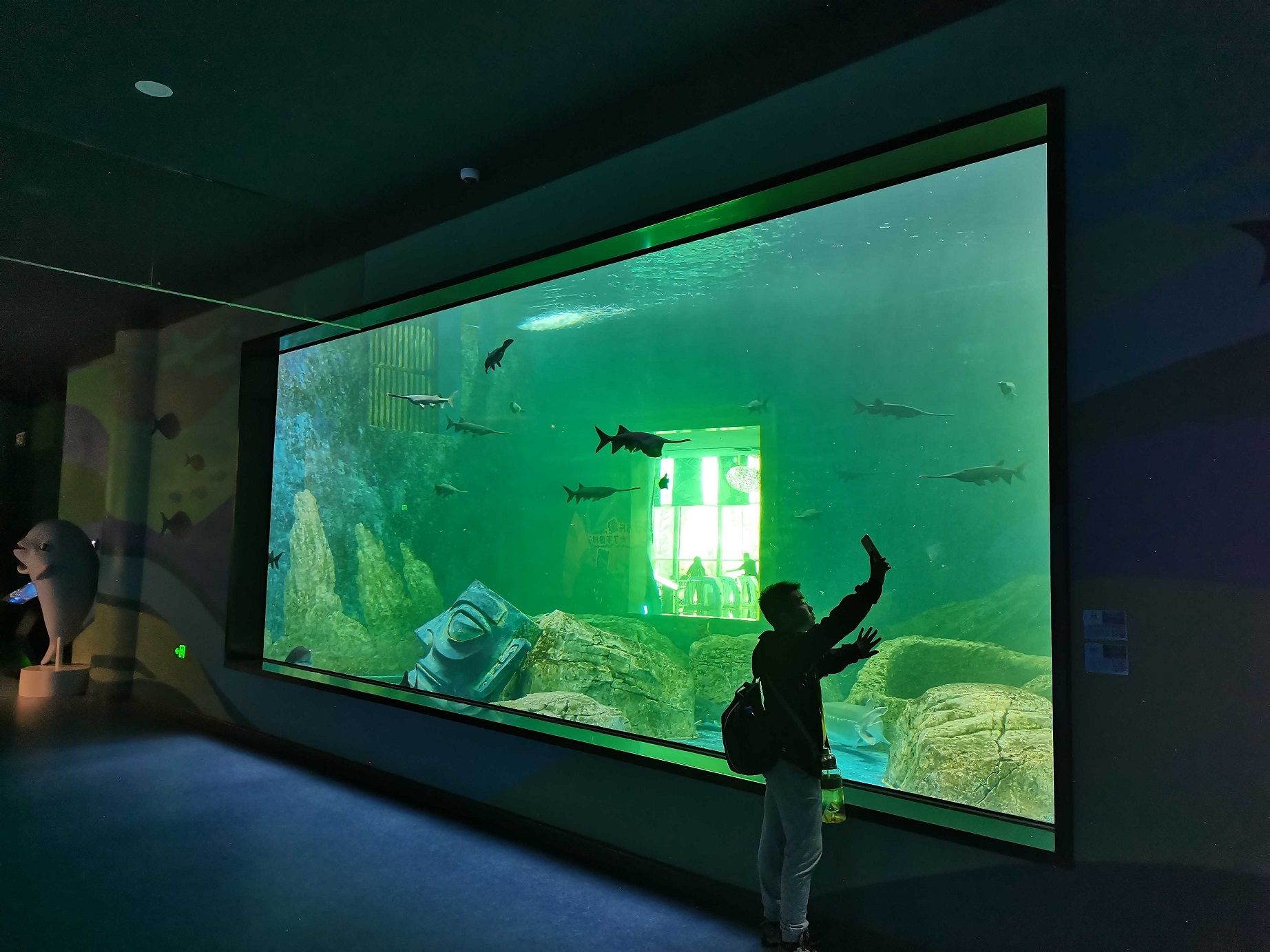 Onde fica a pousada Ocean Park - Leyu