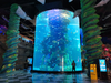Aquário Aqualife construído pela Leyu Acrílico Aquarium Factory - Leyu