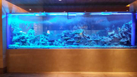 //irrorwxhmmkrpl5m-static.ldycdn.com/cloud/pjBmqKmipmSRploqokojkr/How-to-own-Acrylic-Aquariums-Plastic-Fish-aquariums-Leyu.jpg