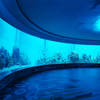 Le Yu Acrílico Factory leva você para explorar o oceanário Sea World - Leyu